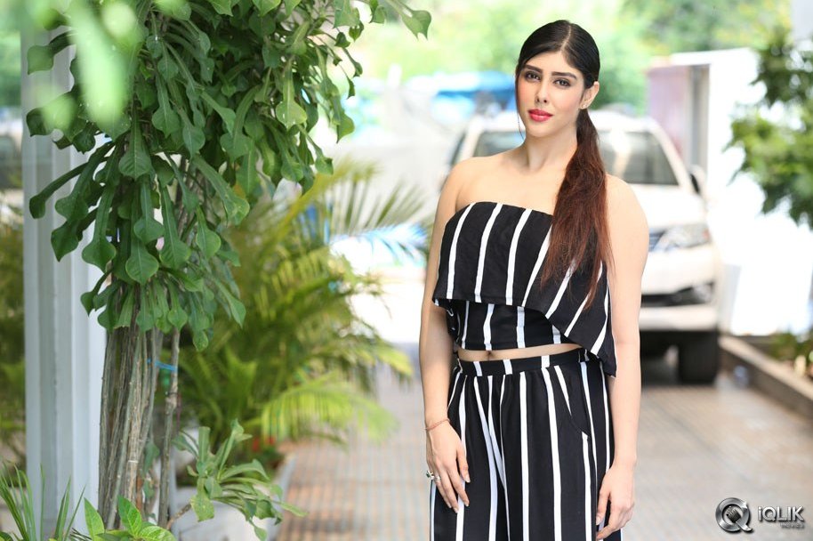 Actress-Aditi-Singh-Latest-Photos